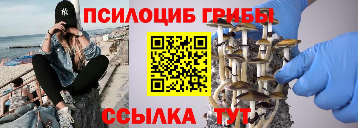 Щёлково  Галлюциногенные грибы ЛСД  Вход с VPN 