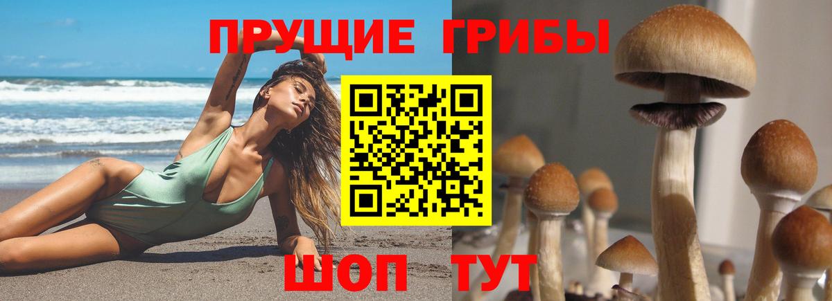 Галлюциногенные грибы мухоморы Щёлково